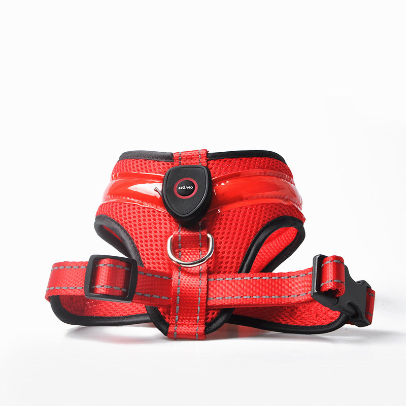 EasyWalk LED Light-Up Dog Harness