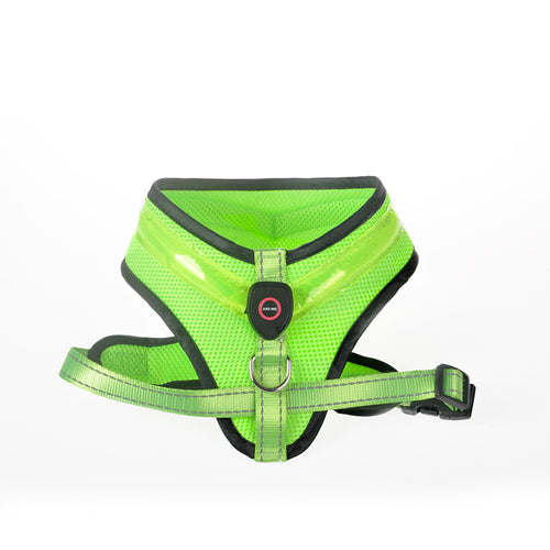 EasyWalk LED Light-Up Dog Harness