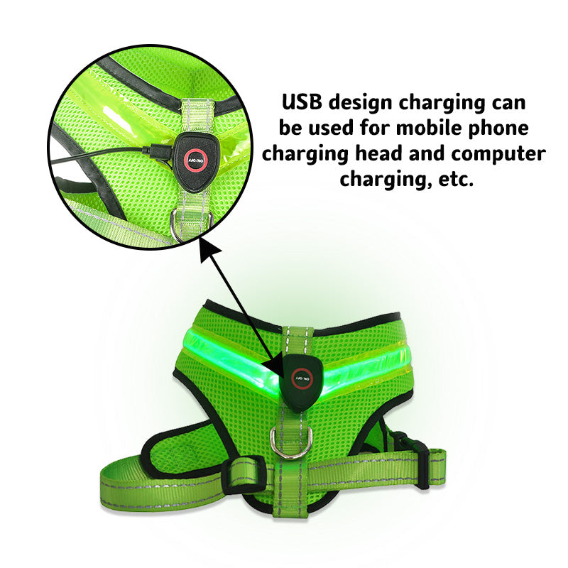 EasyWalk LED Light-Up Dog Harness