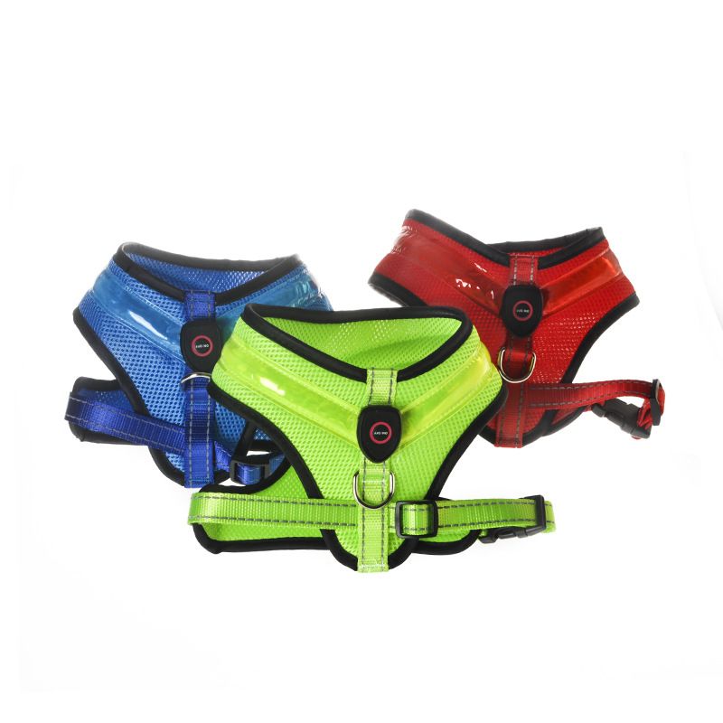 EasyWalk LED Light-Up Dog Harness