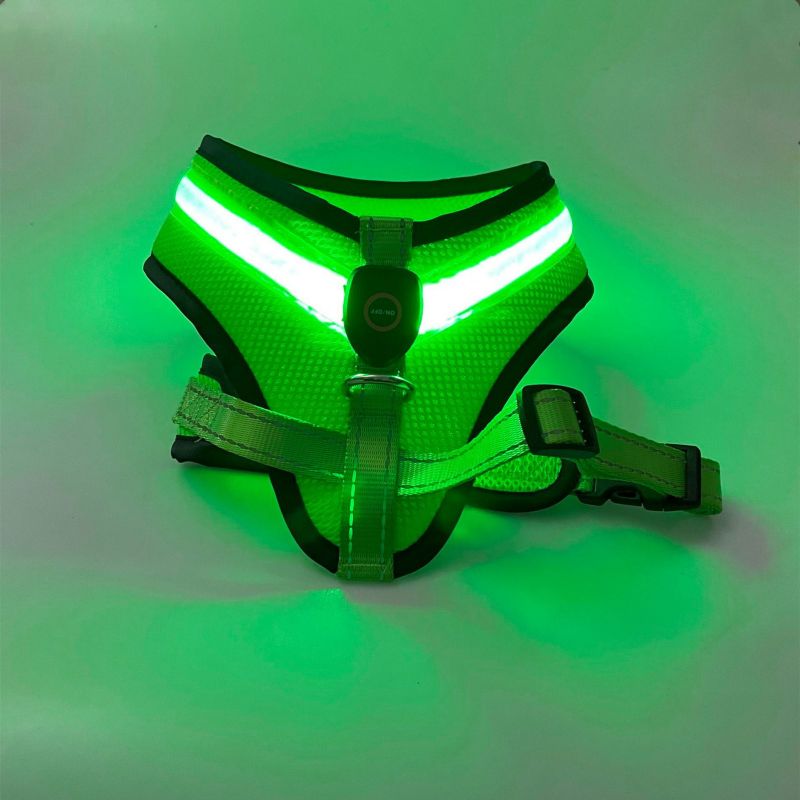 EasyWalk LED Light-Up Dog Harness