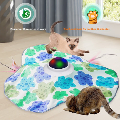 FlutterPlay Hide & Seek Cat Toy